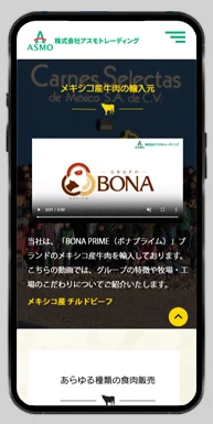 Final Design Snapshots (Mobile)